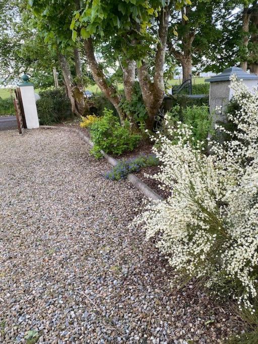Breathnach Cottage Annex Knockleagha Ballina F26 D7E2 Exterior photo